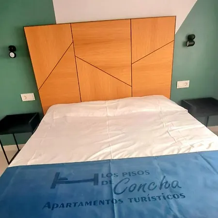 Apartment Pisos De Concha