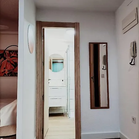 Pisos De Concha
