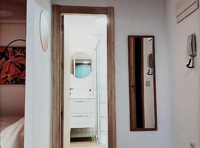 Pisos De Concha