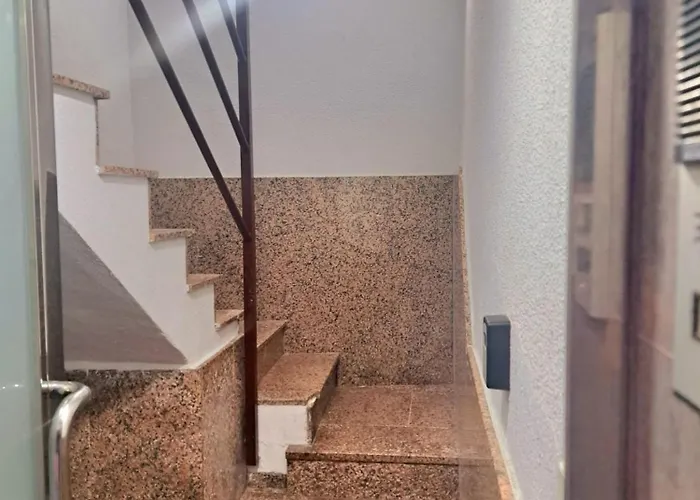 Pisos De Concha